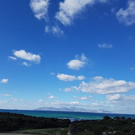 Kochylari Apartments Kéfalos Dış mekan fotoğraf